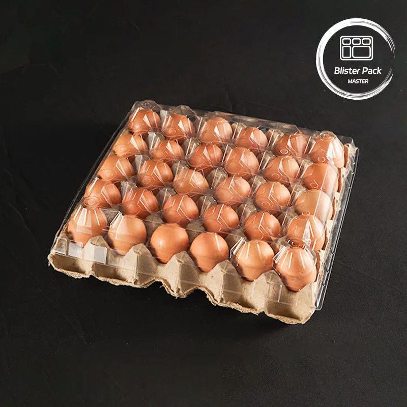 20/24/30 Cell PET Clear Plastic Egg Blister Tray Одноразовая упаковка для перепелиных куриных яиц с крышкой